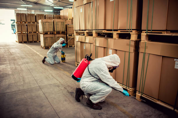 Best Flea Control Services  in Maysville, OK