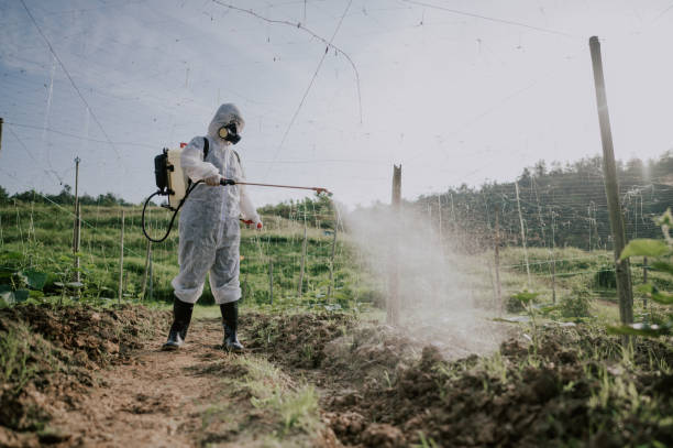 Best Best Pest Control Companies  in Maysville, OK