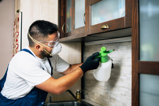 Best Exterminator Services  in Maysville, OK