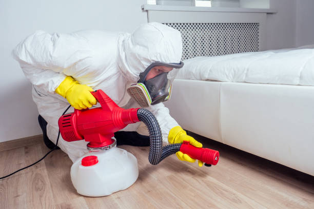 Best Cockroach Control Services  in Maysville, OK