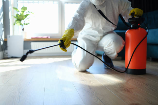 Best Best Pest Control Companies  in Maysville, OK