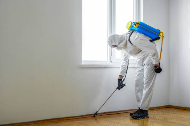 Best Rat Extermination Near Me  in Maysville, OK
