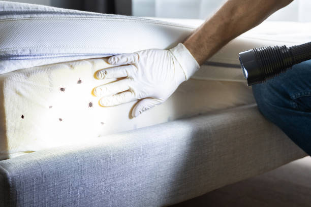 Best Exterminator Services  in Maysville, OK