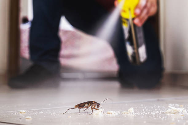 Best Pest Inspection Near Me  in Maysville, OK