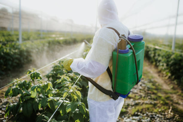 Maysville, OK Pest Control Company